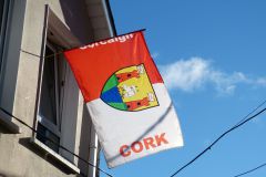Cork-Dublin39